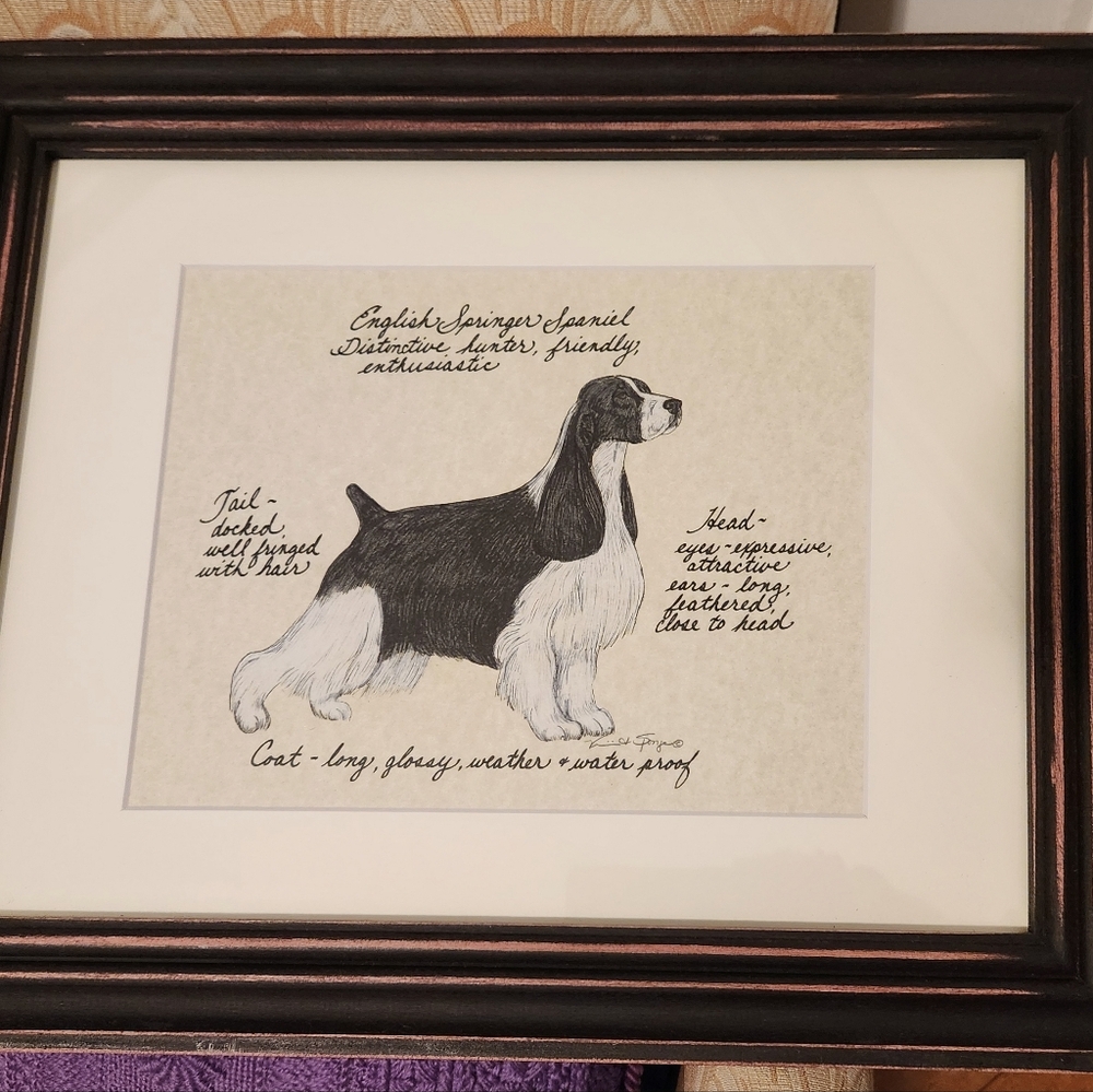 Clapper Hollow Designs English Springer Spaniel Artwork